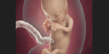 Radical Virginia Amendment Would Allow Abortions Up to Birth