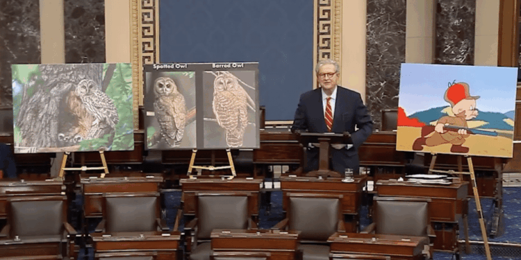 Senator Kennedy Absolutely SHREDS the Department of Interior for Owl Murder Plot [WATCH]