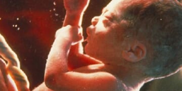 Stopping Mail-Order Abortion Pills Should be the Number One Pro-Life Goal