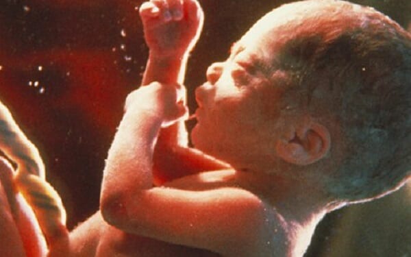 Stopping Mail-Order Abortion Pills Should be the Number One Pro-Life Goal