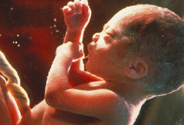 Stopping Mail-Order Abortion Pills Should be the Number One Pro-Life Goal