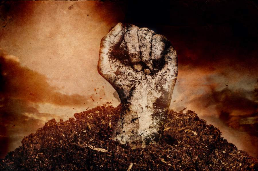 The Brew: You Say You Want a Revolution? Well, You Know ...