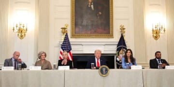 Trump Admin Announces 'Whole-of-Government' Push to Expose Dark Money Behind Violent Protests