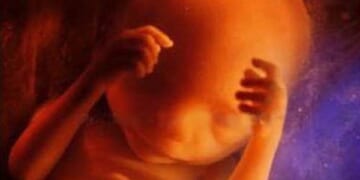 Trump Admin Joins 40 Countries Declaring There’s No Right to Abortion