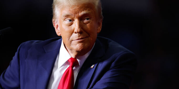 Trump Torches ‘Loser’ Dan Goldman Over Calling On NYPD To Arrest ICE Agents For Doing Their Jobs