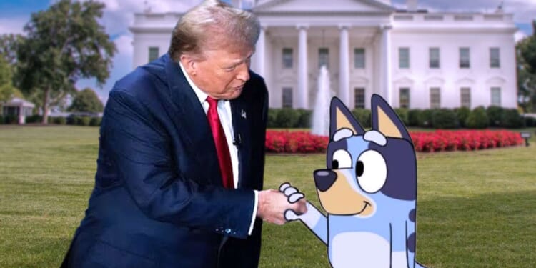 Image for article: Trump Welcomes Top Australian Diplomat To White House