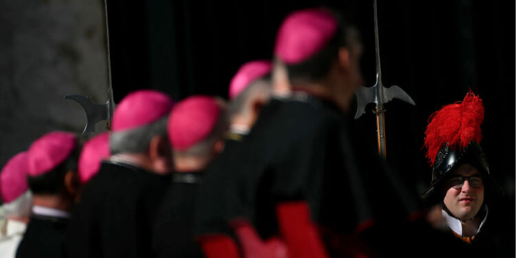 Pope Leo to call Cardinals to Rome for an extraordinary consistory