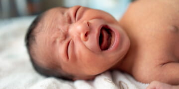 In New Zealand, One Baby a Month Is Left to Die After Surviving Abortion