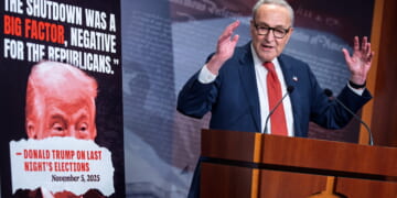 Schumer Attacked Over CR Vote to Reopen Government