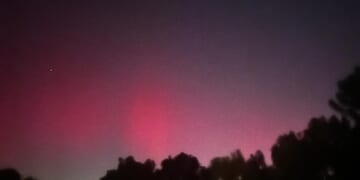 That's a first for us!