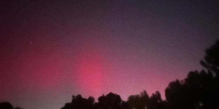 That's a first for us!