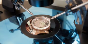 Babies, made to order: The ‘New York Times’ sounds the reproductive tech alarm