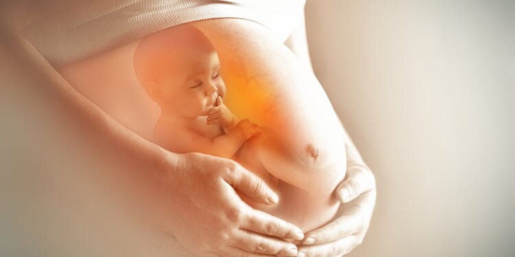 21 States Have Laws Protecting Babies From Abortions, We Must Support Them