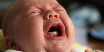 Democrats and Women Have No Problem With America's Shockingly Low Birth Rate