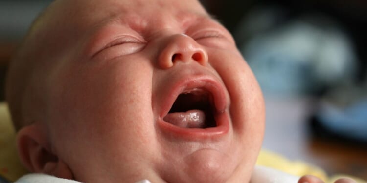 Democrats and Women Have No Problem With America's Shockingly Low Birth Rate