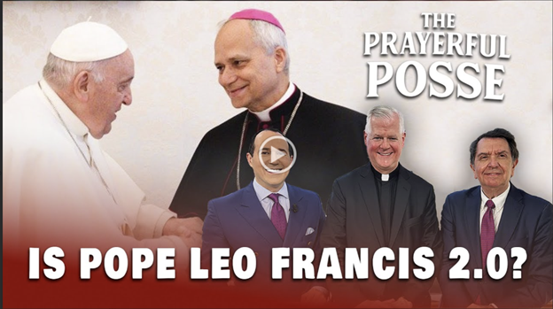 Is Pope Leo Francis 2.0? More Synodal Meetings & "Spectacles"