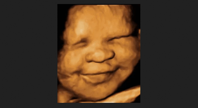 Judge Dismisses Satanic Temple’s Lawsuit Against Idaho Abortion Ban