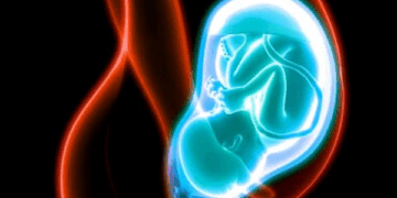 Miscarriage Care for Women is Health Care, Abortion is Not