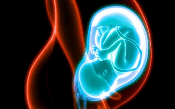 Miscarriage Care for Women is Health Care, Abortion is Not