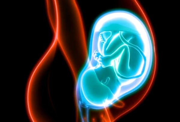 Miscarriage Care for Women is Health Care, Abortion is Not