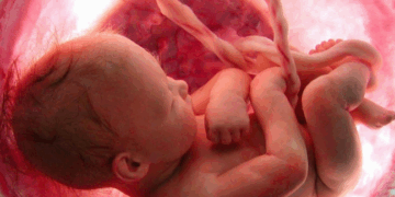 Ohio House Passes Pro-Life Bills to Stop Mail-Order Abortions