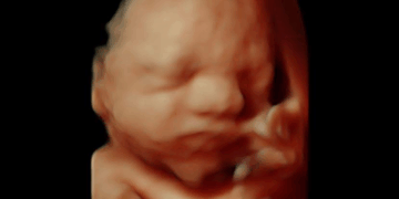 Pennsylvania Democrats Push Radical Amendment for Abortions Up to Birth