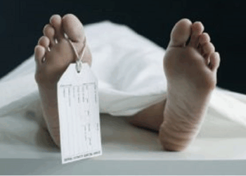 Quebec Has the Highest Euthanasia Rate in the World