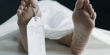 Quebec Has the Highest Euthanasia Rate in the World