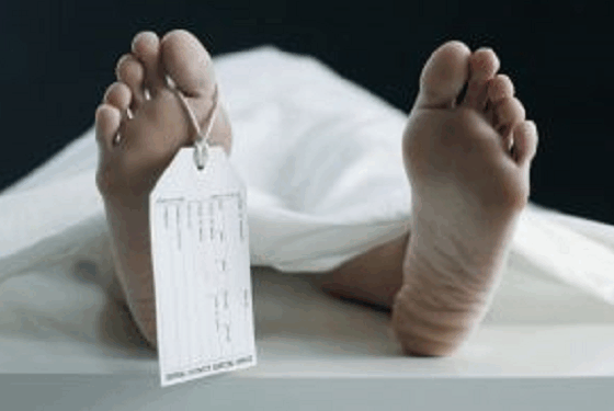 Quebec Has the Highest Euthanasia Rate in the World