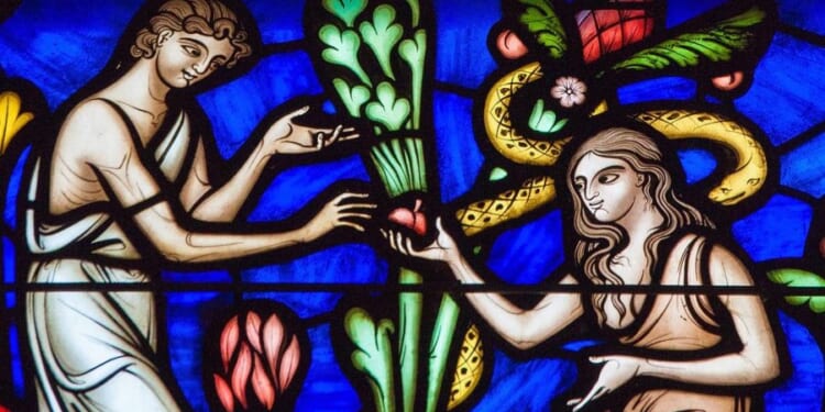 The Biblical Meaning of Gratitude