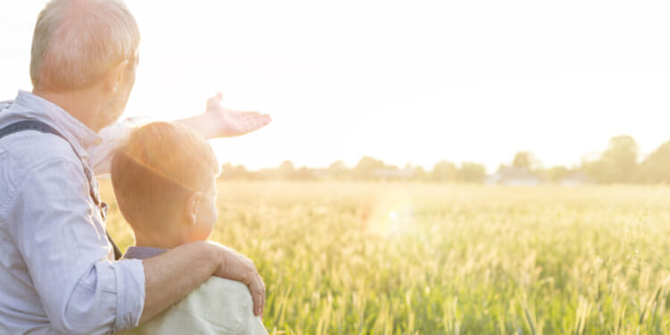 The Great Handoff - The Stream