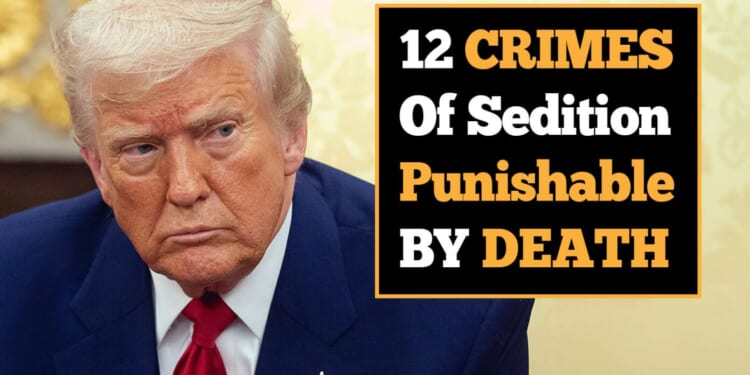 Image for article: Trump Has Spoken: These 12 Crimes Of Sedition Are Now Punishable By Death