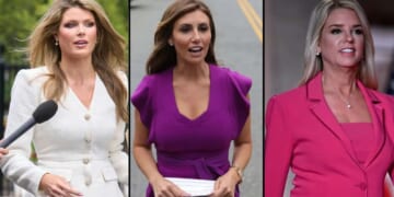 Image for article: Trump's Strategy Of Hiring Lawyers Based On Bust Size Not Working As Well As Anticipated