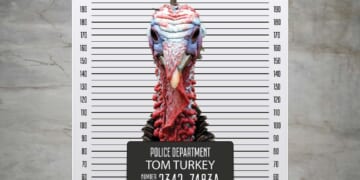 Image for article: Turkey Pardoned By Biden Administration 4 Times Commits Violent Turkey Murder