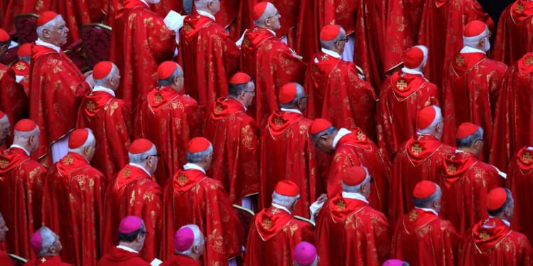 U.S. Catholic Bishops Ban ‘Transgender’ Interventions at Catholic Hospitals