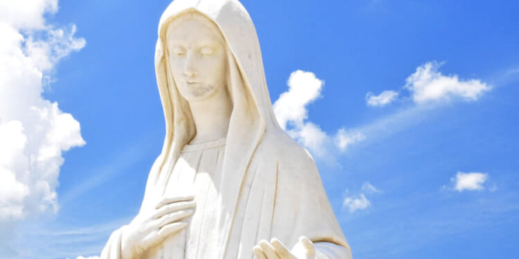 Vatican Rejects Over-the-Top Claims About the Virgin Mary. Trad Catholics Rebel