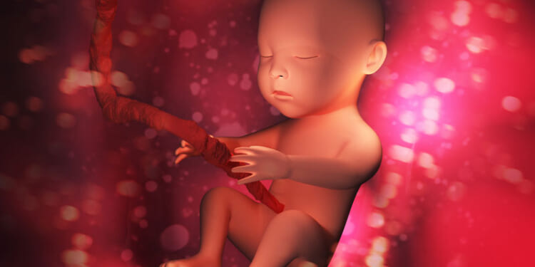 With North Dakota Abortion Ban in Effect, 17 States Now Protect Babies From Abortions