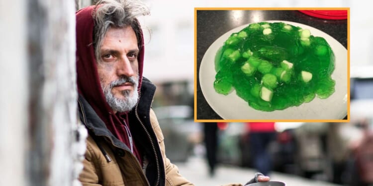 Image for article: ‘No Thanks,’ Says Hungry Homeless Man After Being Offered Marshmallow Jello Salad