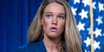 Twins Arrested for Threatening to Shoot ICE Agents and Torture, Hang DHS' Tricia McLaughlin