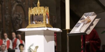 Church beatifies 50 French Catholics murdered by Nazis