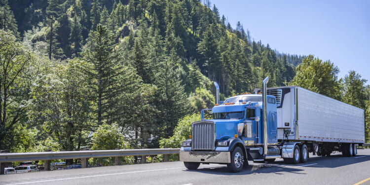 ICE Arrests More Than 100 Illegal Alien Truck Drivers in California