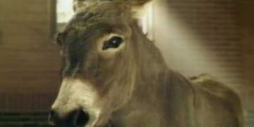 And now, a word from our sponsor