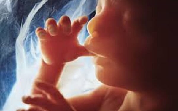 86 Cities Across America Have Banned Abortions