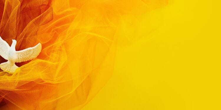 A Book That Will Shock You – Religion & Liberty Online