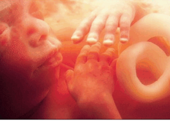 Colorado Amendment Says Unborn Babies Have a “Right to be Born”