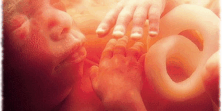 Colorado Amendment Says Unborn Babies Have a “Right to be Born”