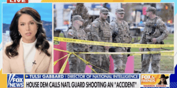 DNI Gabbard Blasts Congressman for 'Unfortunate Accident' Claim [WATCH]
