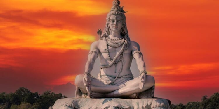 Destroyer or Nurturer? Darwin’s Divinized Conception of Nature