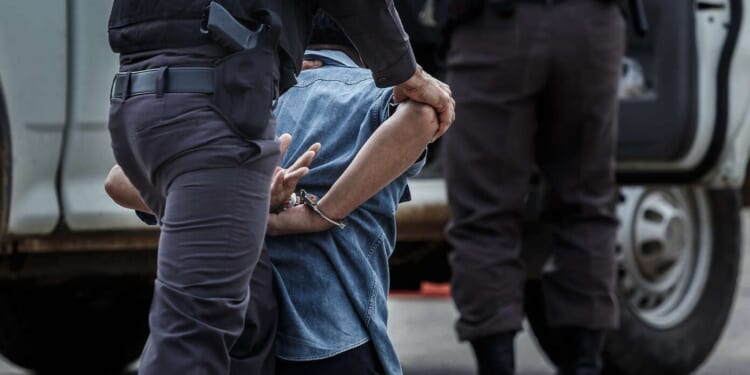 Image for article: Everyone In Michigan Arrested Just To Be Safe