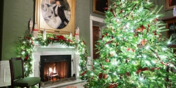 FLOTUS Decks the Halls With 51 Christmas Trees, 75 Wreaths, 25,000 Feet of Ribbon [SEE IT]